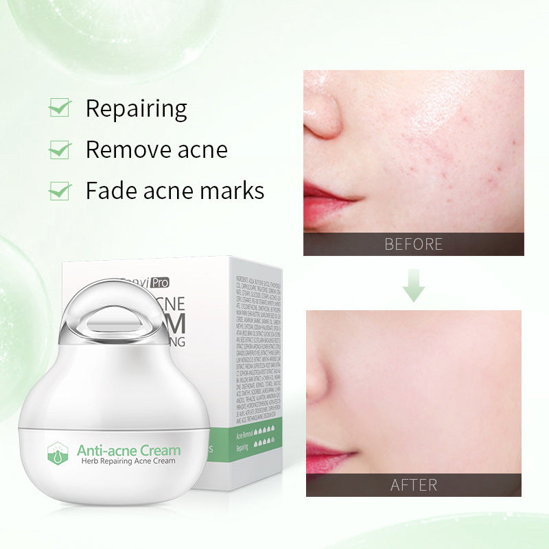 Herbal Skin care lotion Moisturizing Facial Cream Skin Care Products-e93fd679e350d551a8cda2f8b0100d5e