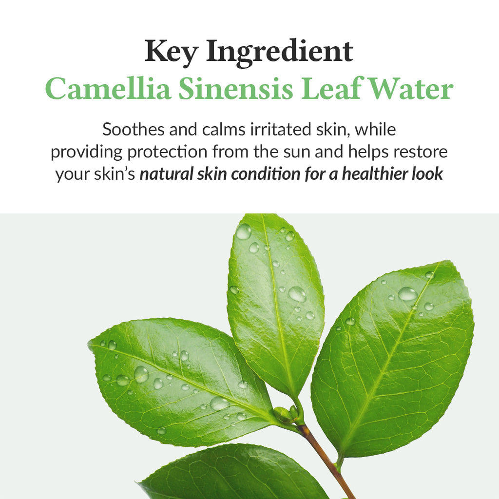 Dr. Althea Green Tea Fresh Sunscreen SPF50+ PA++++-Dr. Althea Green Tea Fresh Sunscreen SPF50+ PA++++
