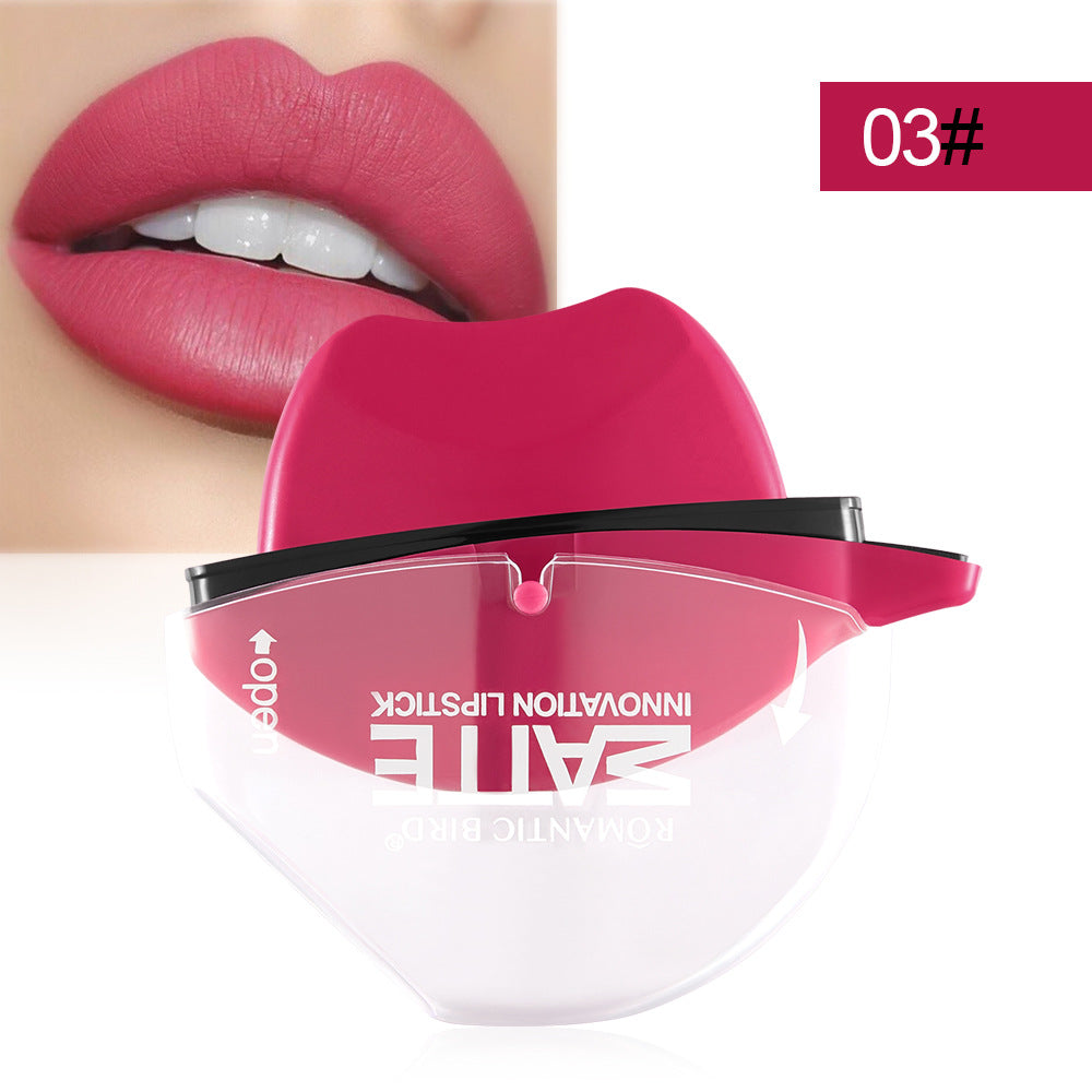 Matte lipstick lip gloss-9ba066094d9c3f733e62e632b4b635cb