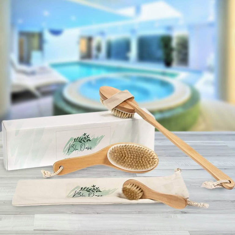 3-Piece Set: Blu Oasis Premium Dry Brushes with Travel Bag