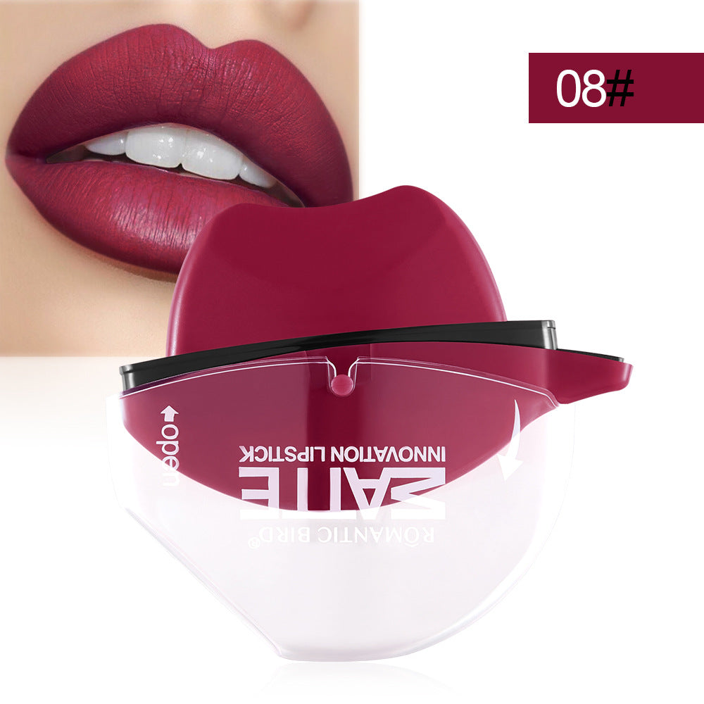 Matte lipstick lip gloss-335d70befae8c00f03a7cf11cdeab9a7