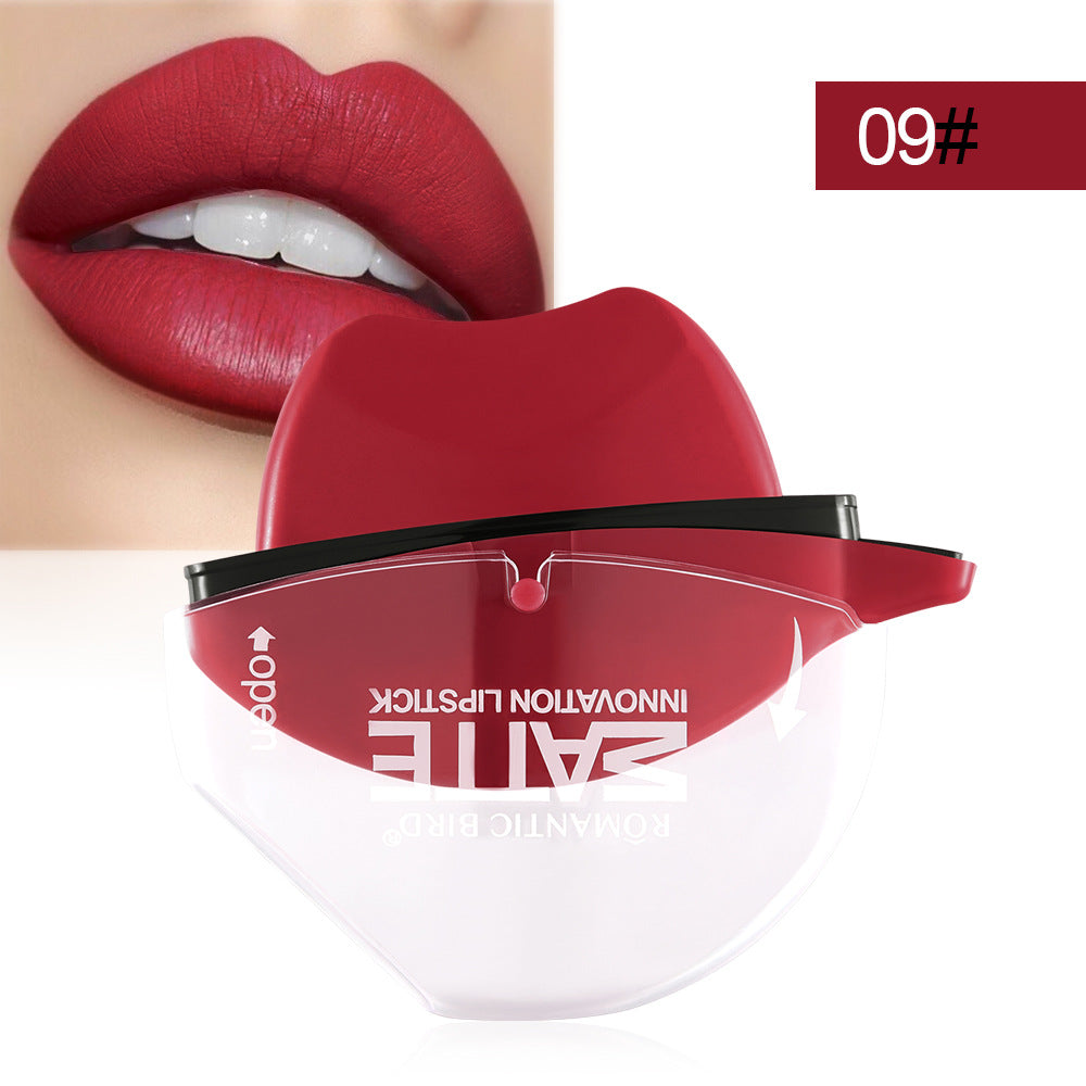 Matte lipstick lip gloss-ee50fb59629f647bb66475aa4bb92460