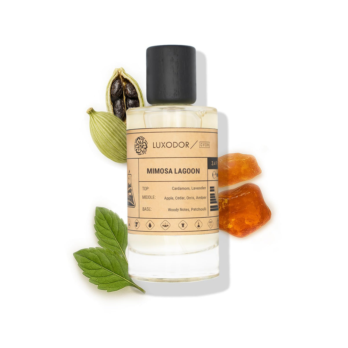 Inspired by Y S.L's B.lack O.pium 3.4 fl. oz (100ml) Damascus Poemy with Pheromone Roll-On Oil 10 ml | Women’s Dupes Fragrances | Long Lasting Perfume Vanilla for Women | Womens Perfume-Inspired by Y S.L's B.lack O.pium 3.4 fl. oz (100ml) Damascus Poemy with Pheromone Roll-On Oil 10 ml | Women’s Dupes Fragrances | Long Lasting Perfume Vanilla for Women | Womens Perfume