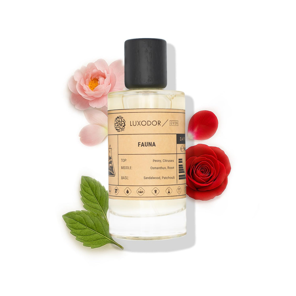 Inspired by Y S.L's B.lack O.pium 3.4 fl. oz (100ml) Damascus Poemy with Pheromone Roll-On Oil 10 ml | Women’s Dupes Fragrances | Long Lasting Perfume Vanilla for Women | Womens Perfume-Inspired by Y S.L's B.lack O.pium 3.4 fl. oz (100ml) Damascus Poemy with Pheromone Roll-On Oil 10 ml | Women’s Dupes Fragrances | Long Lasting Perfume Vanilla for Women | Womens Perfume