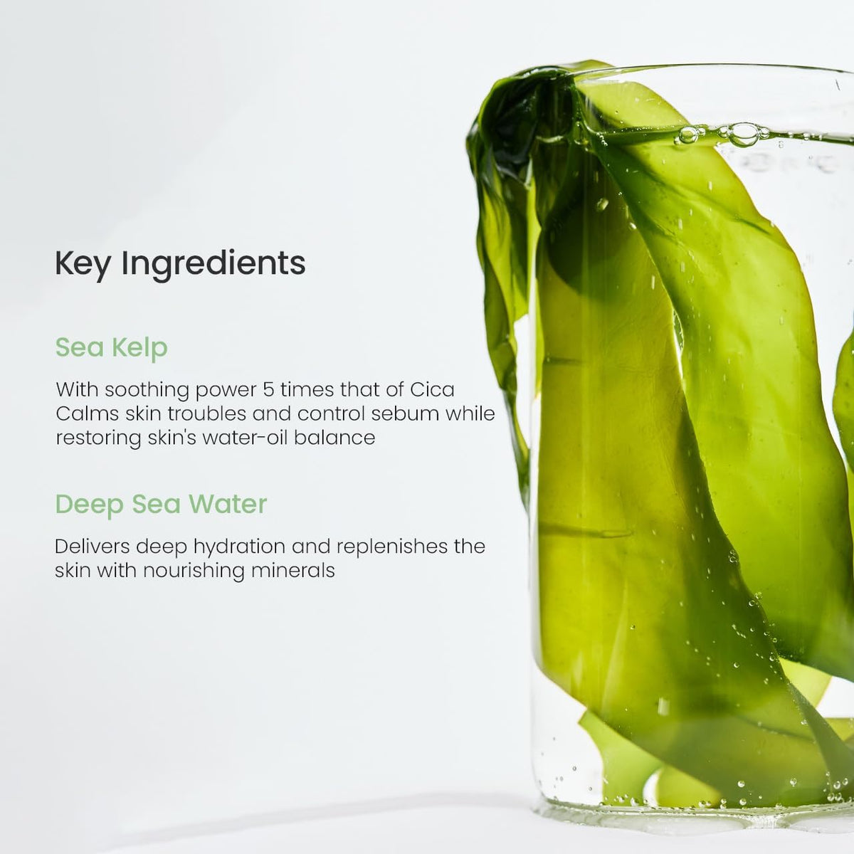 Biodance Refreshing Sea Kelp Real Deep Mask-Biodance Refreshing Sea Kelp Real Deep Mask