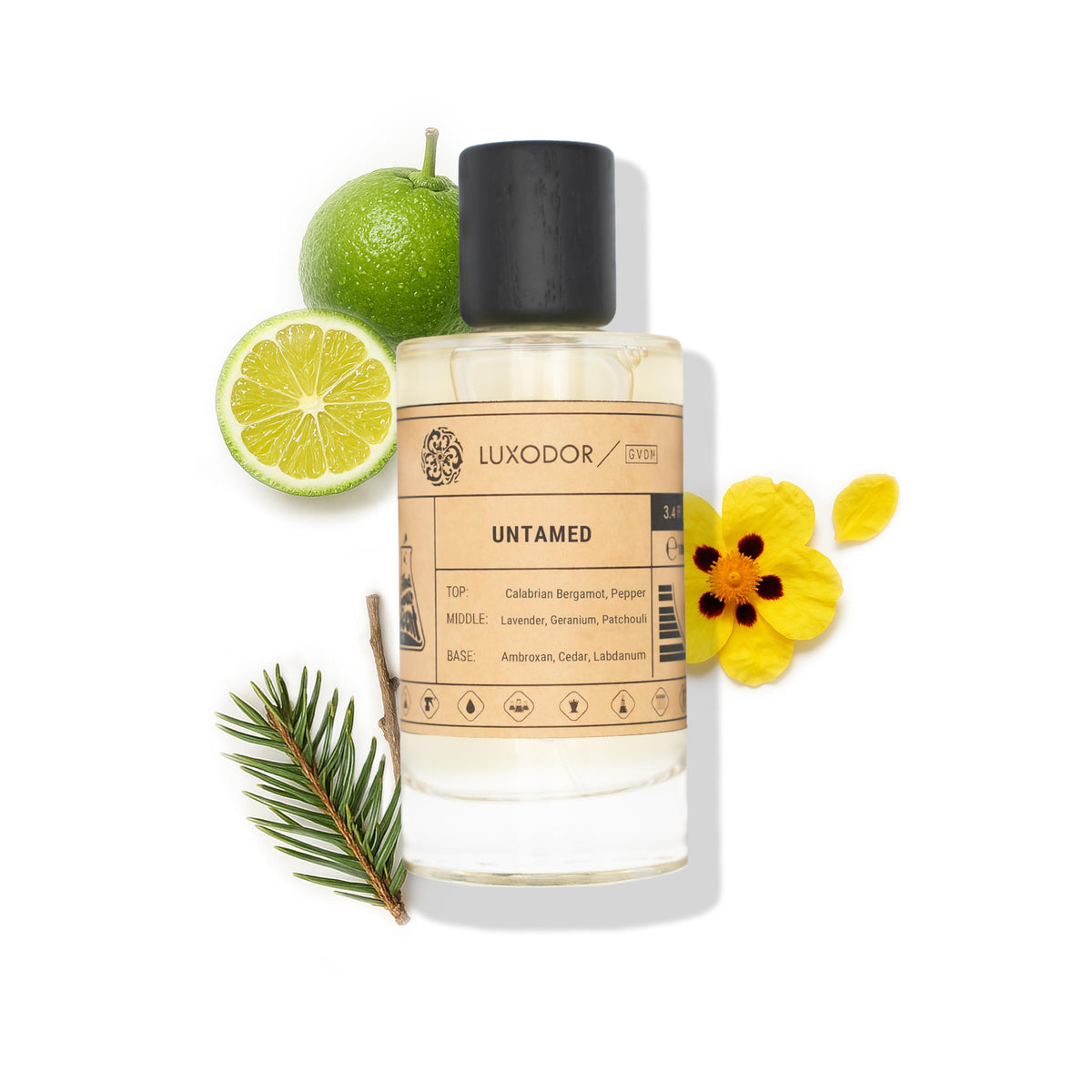 Inspired by Y S.L's B.lack O.pium 3.4 fl. oz (100ml) Damascus Poemy with Pheromone Roll-On Oil 10 ml | Women’s Dupes Fragrances | Long Lasting Perfume Vanilla for Women | Womens Perfume-Inspired by Y S.L's B.lack O.pium 3.4 fl. oz (100ml) Damascus Poemy with Pheromone Roll-On Oil 10 ml | Women’s Dupes Fragrances | Long Lasting Perfume Vanilla for Women | Womens Perfume