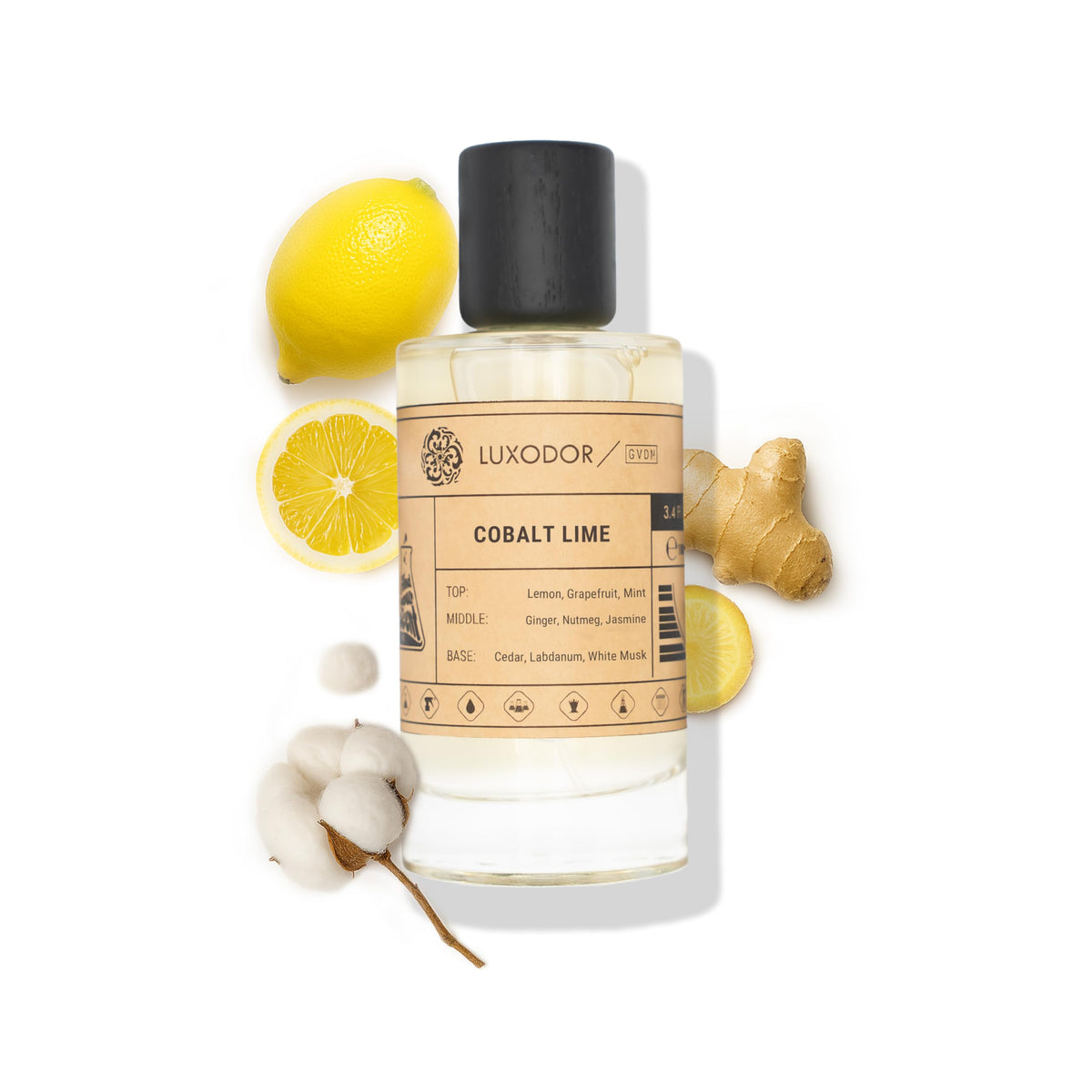 Inspired by Y S.L's B.lack O.pium 3.4 fl. oz (100ml) Damascus Poemy with Pheromone Roll-On Oil 10 ml | Women’s Dupes Fragrances | Long Lasting Perfume Vanilla for Women | Womens Perfume-Inspired by Y S.L's B.lack O.pium 3.4 fl. oz (100ml) Damascus Poemy with Pheromone Roll-On Oil 10 ml | Women’s Dupes Fragrances | Long Lasting Perfume Vanilla for Women | Womens Perfume