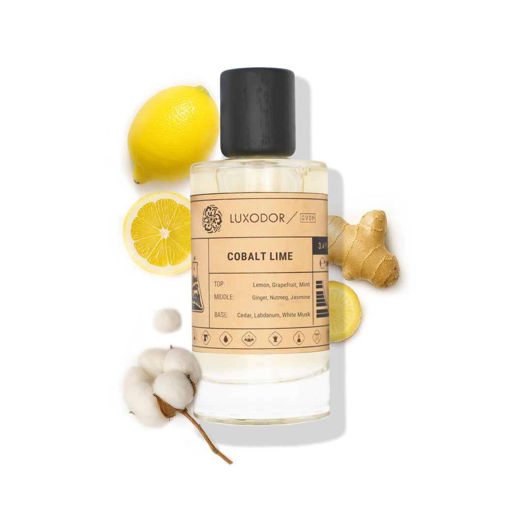 Inspired by Y S.L's B.lack O.pium 3.4 fl. oz (100ml) Damascus Poemy with Pheromone Roll-On Oil 10 ml | Women’s Dupes Fragrances | Long Lasting Perfume Vanilla for Women | Womens Perfume-Inspired by Y S.L's B.lack O.pium 3.4 fl. oz (100ml) Damascus Poemy with Pheromone Roll-On Oil 10 ml | Women’s Dupes Fragrances | Long Lasting Perfume Vanilla for Women | Womens Perfume