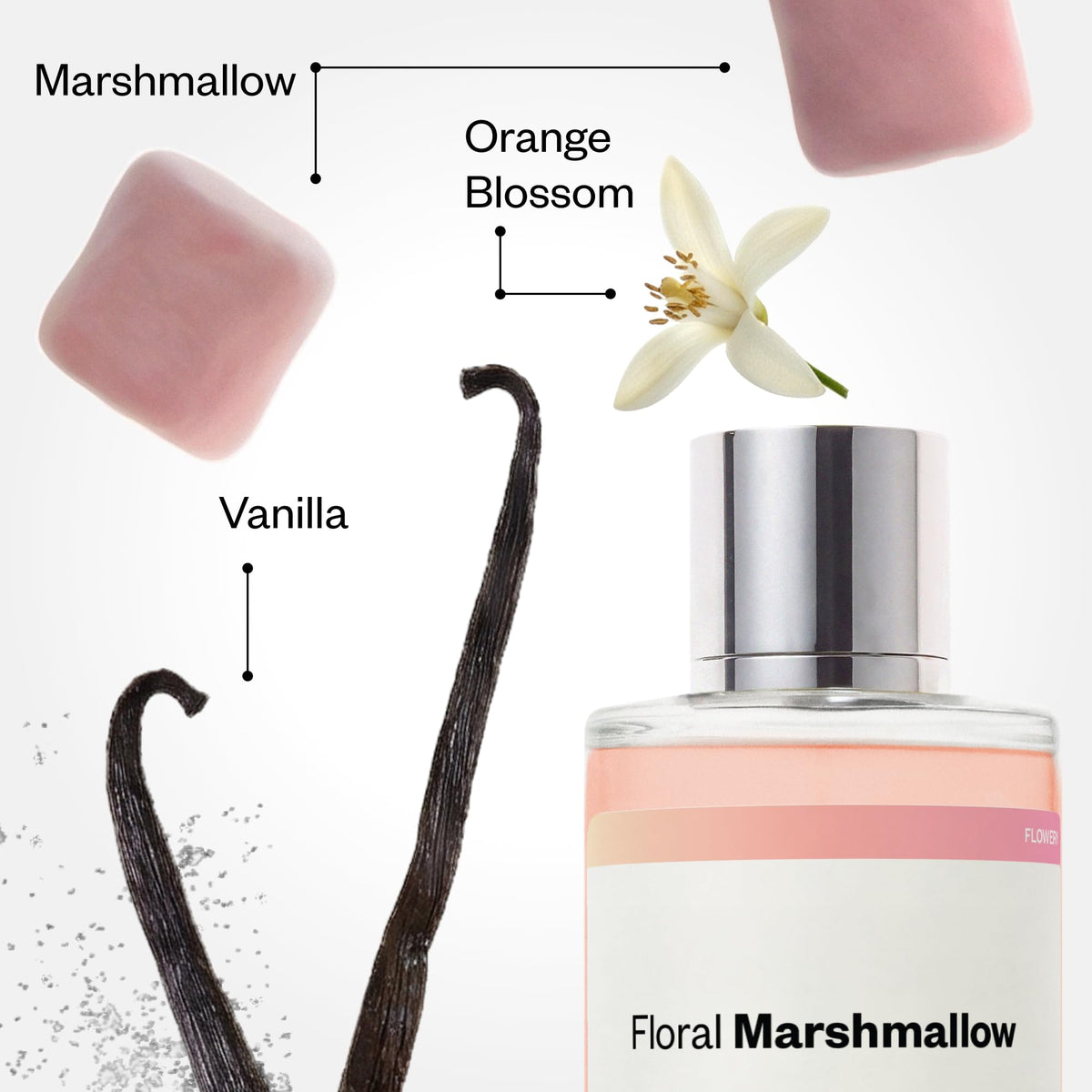 Dossier - Ambery Vanilla - Eau de Parfum - Vanilla Perfume - Inspired by Black Opium - Long-Lasting Fragrance - Feminine - 1.7 fl oz (50ml)-Dossier - Ambery Vanilla - Eau de Parfum - Vanilla Perfume - Inspired by Black Opium - Long-Lasting Fragrance - Feminine - 1.7 fl oz (50ml)