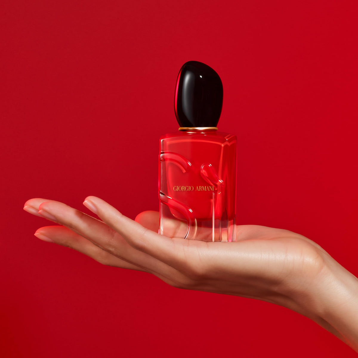 Armani Beauty - Sì Passione - Eau de Parfum - Vanilla Perfume for Women - Floral Citrus Fragrance - Blackcurrant Nectar, Damascena Rose, Black Tea Notes-Armani Beauty - Sì Passione - Eau de Parfum - Vanilla Perfume for Women - Floral Citrus Fragrance - Blackcurrant Nectar, Damascena Rose, Black Tea Notes