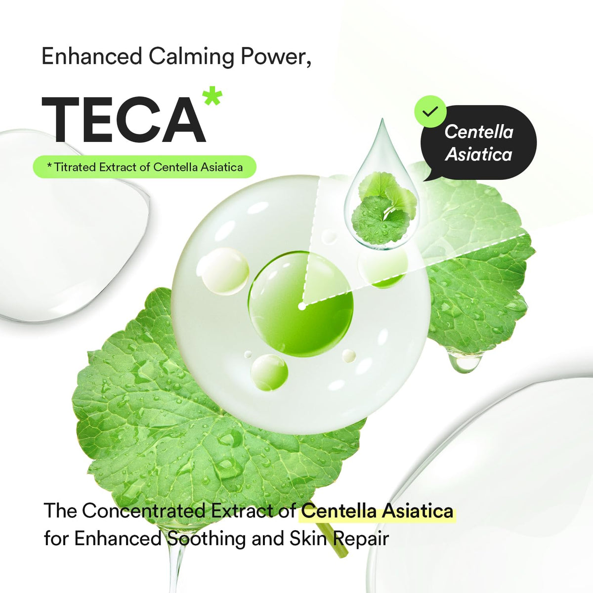 Abib Heartleaf TECA Capsule Serum-Abib Heartleaf TECA Capsule Serum