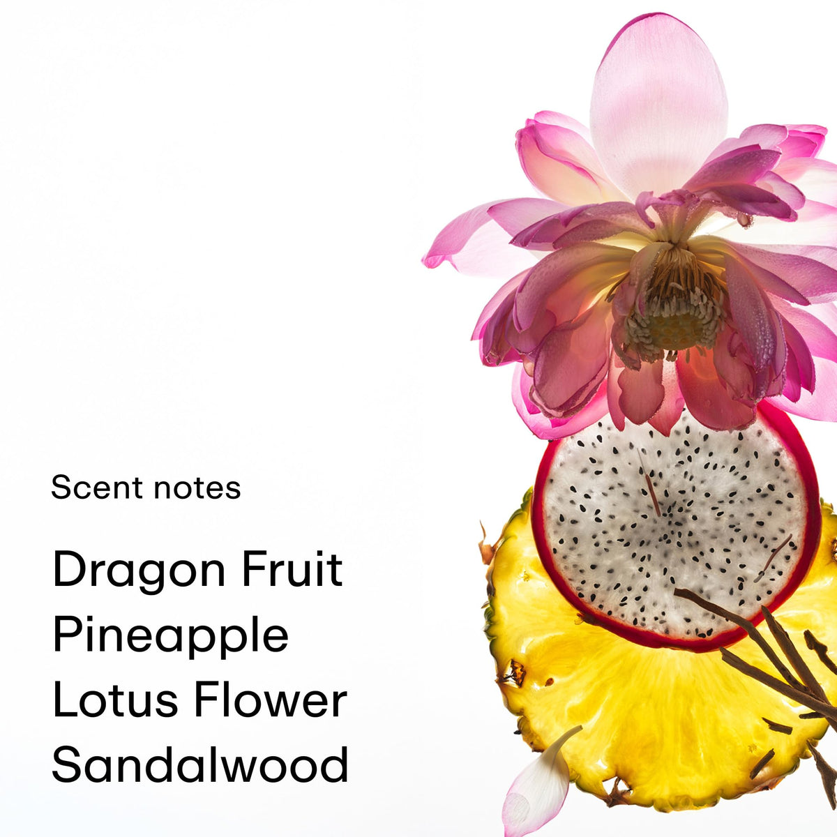 PHLUR Vanilla Skin Body Mist, 8 Fl Oz - Hair and Body Perfume for Women | Vanilla Perfume Body Spray with Pink Pepper, Cashmere Wood & Sandalwood Fragrance-PHLUR Vanilla Skin Body Mist, 8 Fl Oz - Hair and Body Perfume for Women | Vanilla Perfume Body Spray with Pink Pepper, Cashmere Wood & Sandalwood Fragrance
