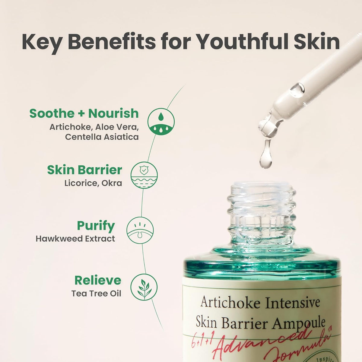 AXIS-Y Artichoke Intensive Skin Barrier Ampoule-AXIS-Y Artichoke Intensive Skin Barrier Ampoule