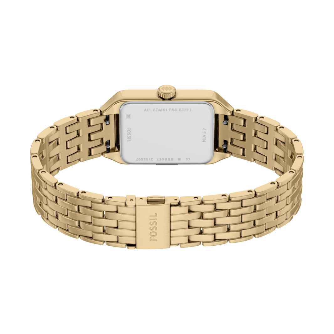Fossil Women's Watch, Raquel Quartz Stainless Steel Watch for Women-Fossil Women's Watch, Raquel Quartz Stainless Steel Watch for Women