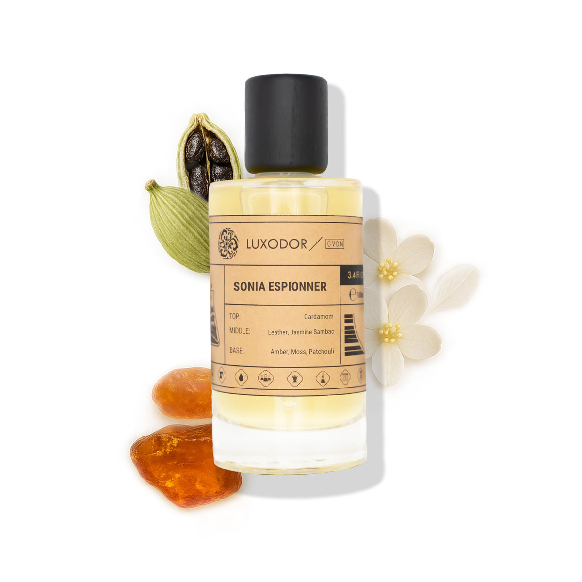 Inspired by Y S.L's B.lack O.pium 3.4 fl. oz (100ml) Damascus Poemy with Pheromone Roll-On Oil 10 ml | Women’s Dupes Fragrances | Long Lasting Perfume Vanilla for Women | Womens Perfume-Inspired by Y S.L's B.lack O.pium 3.4 fl. oz (100ml) Damascus Poemy with Pheromone Roll-On Oil 10 ml | Women’s Dupes Fragrances | Long Lasting Perfume Vanilla for Women | Womens Perfume