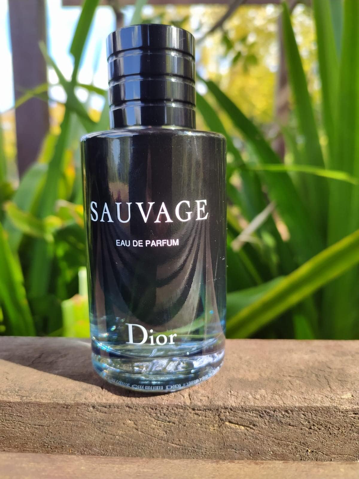 Dior Eau de Toilette for Men, 2 Ounce 60 ml-Dior Eau de Toilette for Men, 2 Ounce 60 ml