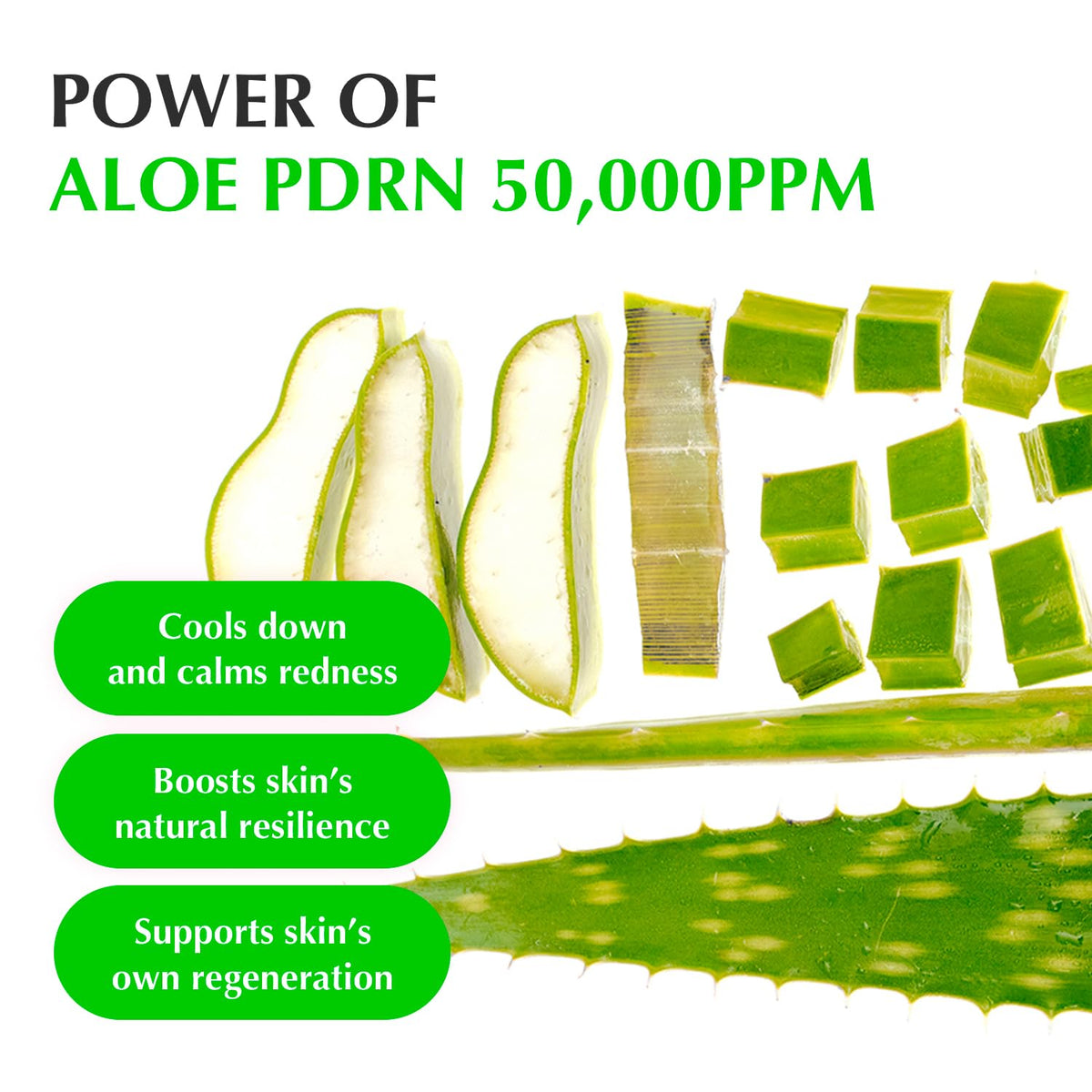 EQQUALBERRY Aloe PDRN Calming Serum-EQQUALBERRY Aloe PDRN Calming Serum