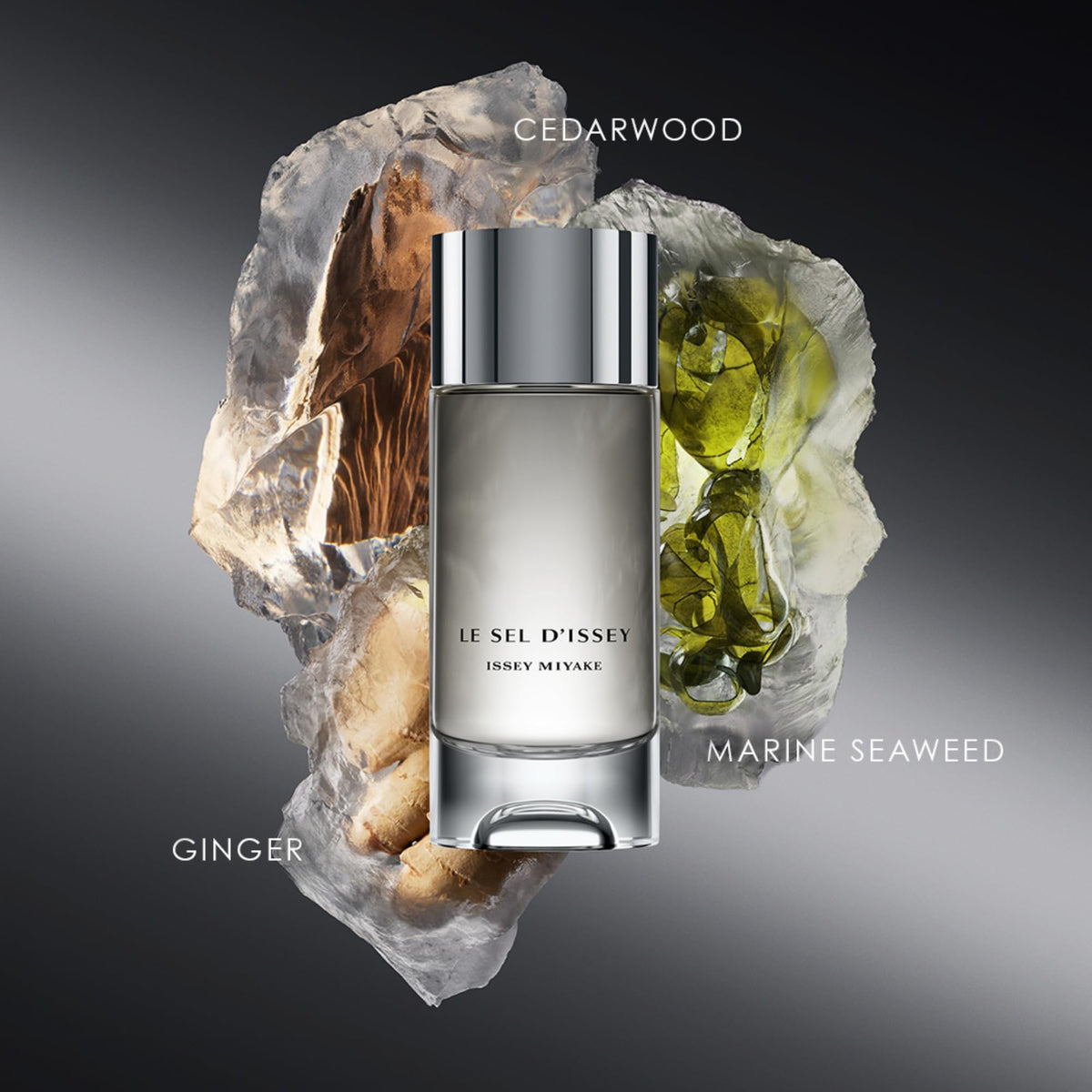 Issey Miyake Le Sel d'Issey Eau de Toilette - Fresh Woody Marine Fragrance for Men - With Salt Accord, Marine Seaweed, Ginger & Cedarwood - Refillable-Issey Miyake Le Sel d'Issey Eau de Toilette - Fresh Woody Marine Fragrance for Men - With Salt Accord, Marine Seaweed, Ginger & Cedarwood - Refillable