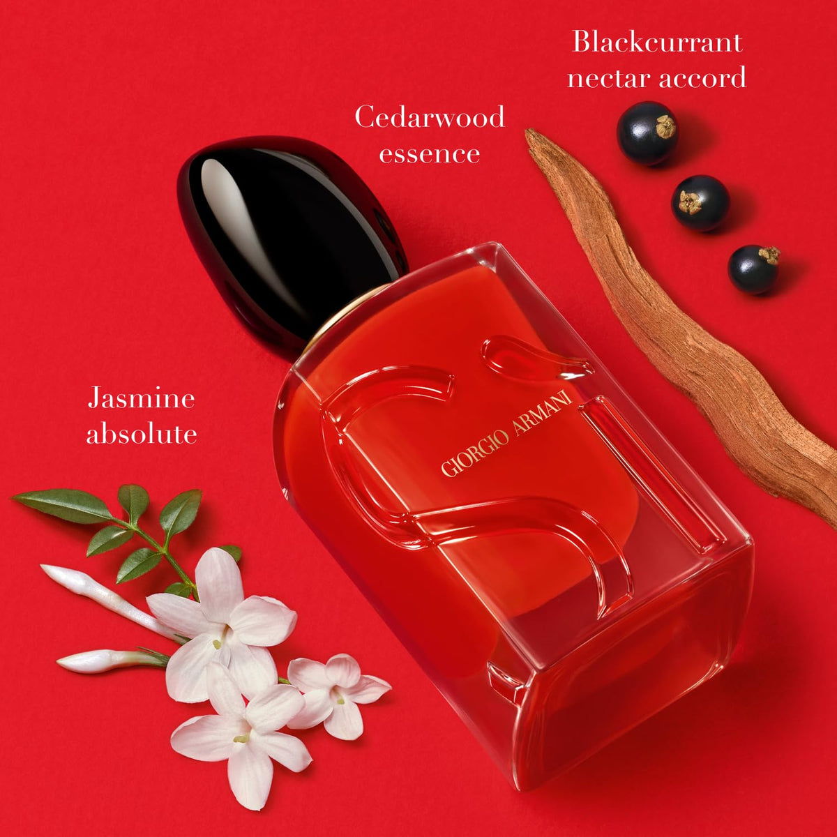 Armani Beauty - Sì Passione - Eau de Parfum - Vanilla Perfume for Women - Floral Citrus Fragrance - Blackcurrant Nectar, Damascena Rose, Black Tea Notes-Armani Beauty - Sì Passione - Eau de Parfum - Vanilla Perfume for Women - Floral Citrus Fragrance - Blackcurrant Nectar, Damascena Rose, Black Tea Notes