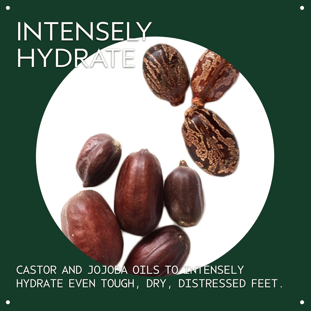 Aveda Foot Relief Moisturizing Creme | Exfoliates, Softens & Smooths Dry Feet | with Jojoba, Peppermint, Tea Tree, Castor Oils, 4.2 Fl Oz-Aveda Foot Relief Moisturizing Creme | Exfoliates, Softens & Smooths Dry Feet | with Jojoba, Peppermint, Tea Tree, Castor Oils, 4.2 Fl Oz
