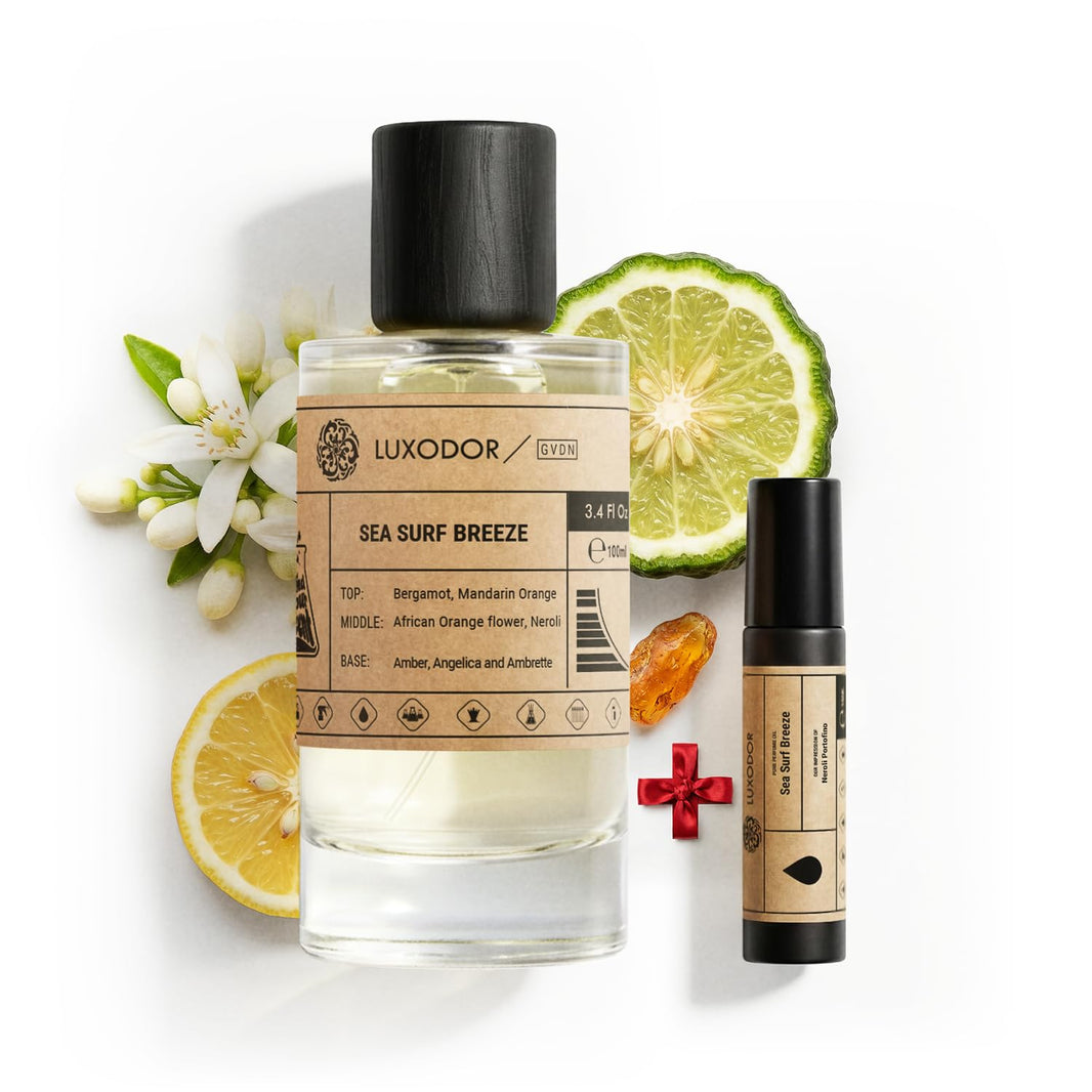 Inspired by Y S.L's B.lack O.pium 3.4 fl. oz (100ml) Damascus Poemy with Pheromone Roll-On Oil 10 ml | Women’s Dupes Fragrances | Long Lasting Perfume Vanilla for Women | Womens Perfume-Inspired by Y S.L's B.lack O.pium 3.4 fl. oz (100ml) Damascus Poemy with Pheromone Roll-On Oil 10 ml | Women’s Dupes Fragrances | Long Lasting Perfume Vanilla for Women | Womens Perfume
