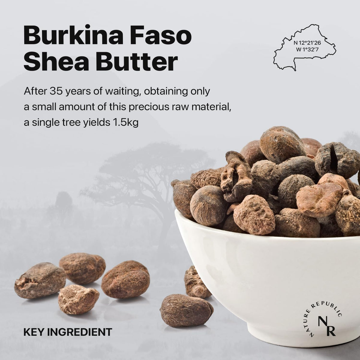 Nature Republic Shea Butter Fresh Steam Cream-Nature Republic Shea Butter Fresh Steam Cream