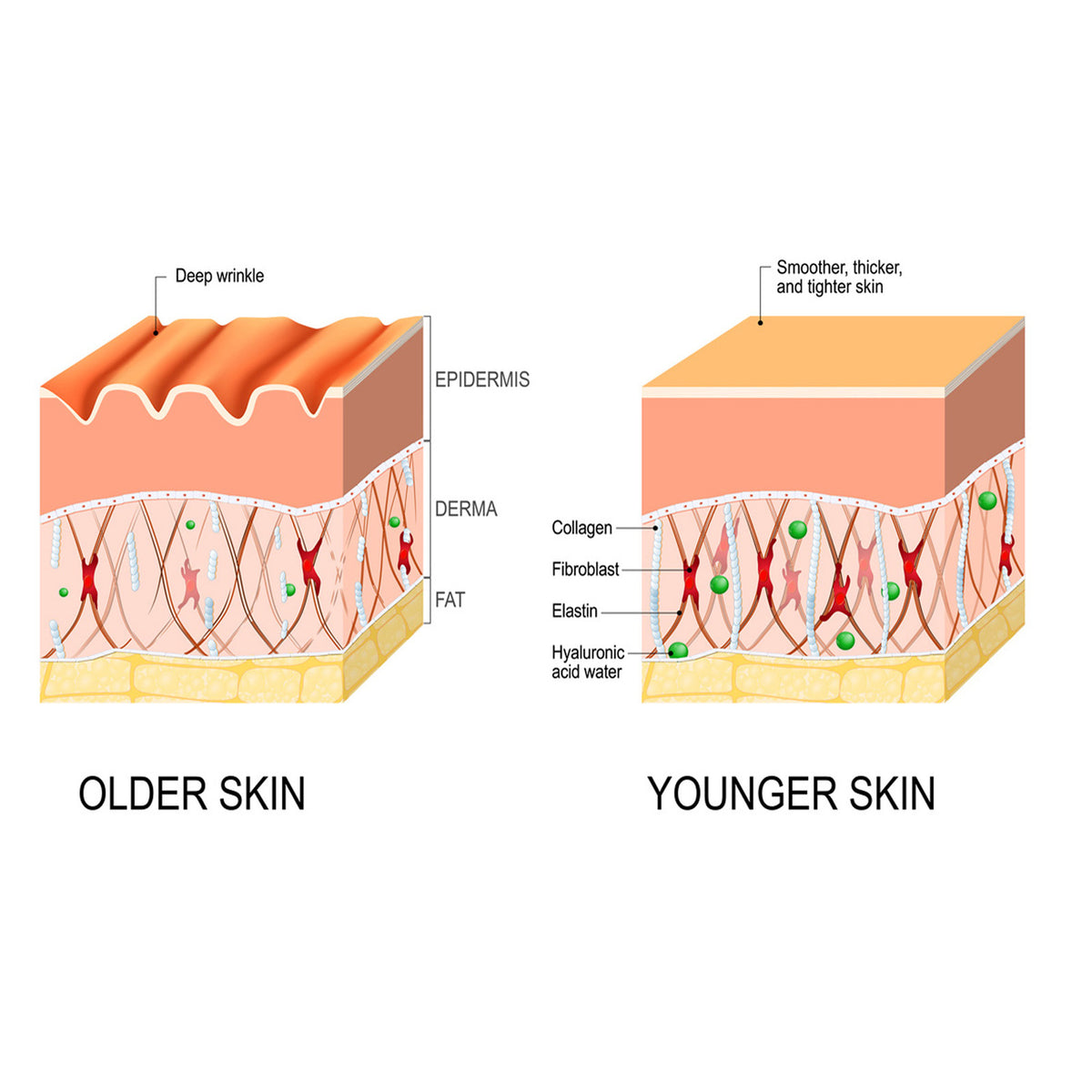 Anti-wrinkle  Fine Line-fading Lifting And Firming Skin Care-e5a5a219365daabfeef5dfcfcfc23a92