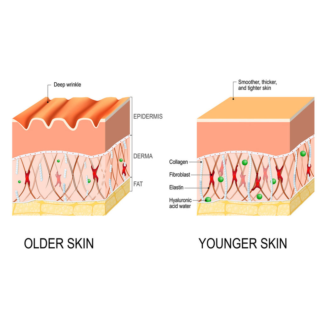 Anti-wrinkle  Fine Line-fading Lifting And Firming Skin Care-e5a5a219365daabfeef5dfcfcfc23a92
