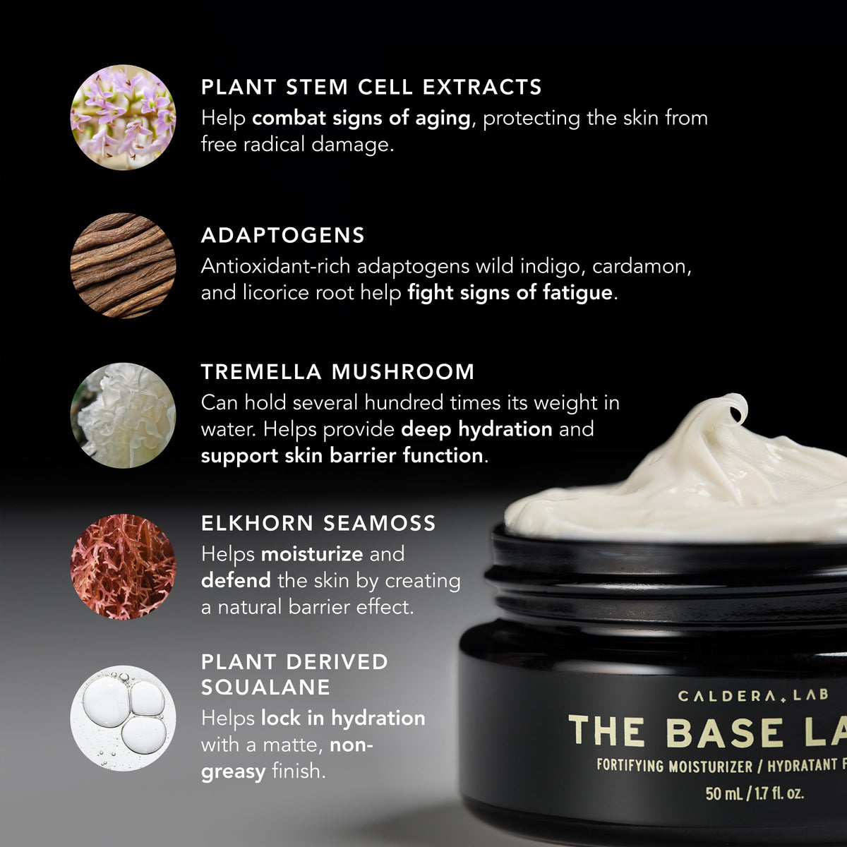 Caldera + Lab The Base Layer | Men's Organic Face Cream Moisturizer for Dry, Sensitive, & Normal Skin – Vegan, Natural & Antioxidant Packed Facial Skincare-Caldera + Lab The Base Layer | Men's Organic Face Cream Moisturizer for Dry, Sensitive, & Normal Skin – Vegan, Natural & Antioxidant Packed Facial Skincare