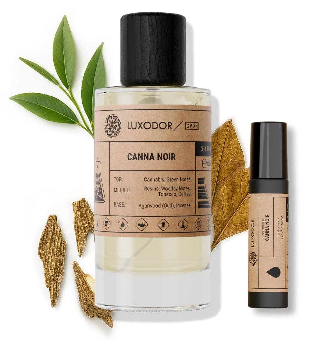 Inspired by Y S.L's B.lack O.pium 3.4 fl. oz (100ml) Damascus Poemy with Pheromone Roll-On Oil 10 ml | Women’s Dupes Fragrances | Long Lasting Perfume Vanilla for Women | Womens Perfume-Inspired by Y S.L's B.lack O.pium 3.4 fl. oz (100ml) Damascus Poemy with Pheromone Roll-On Oil 10 ml | Women’s Dupes Fragrances | Long Lasting Perfume Vanilla for Women | Womens Perfume
