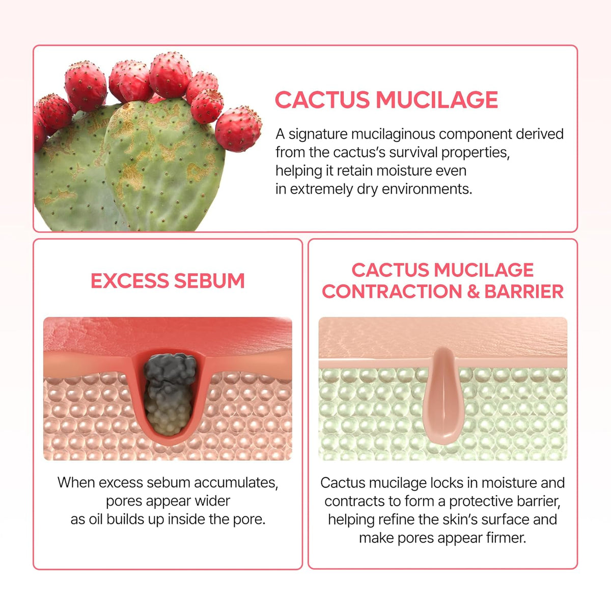 Dr.Melaxin CACTOX Pore Relief Dual Capsule Cream-Dr.Melaxin CACTOX Pore Relief Dual Capsule Cream
