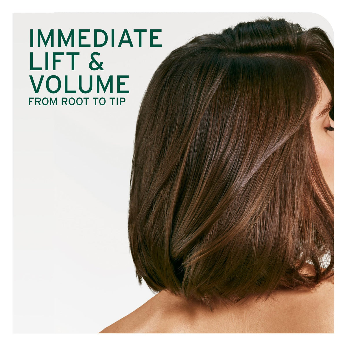 Biolage Volume Boost Conditioner - Weightless Moisture, Shine & Volume, Detangles Fine Hair, Soy Protein & Polymers, Vegan & Paraben-Free-Biolage Volume Boost Conditioner - Weightless Moisture, Shine & Volume, Detangles Fine Hair, Soy Protein & Polymers, Vegan & Paraben-Free