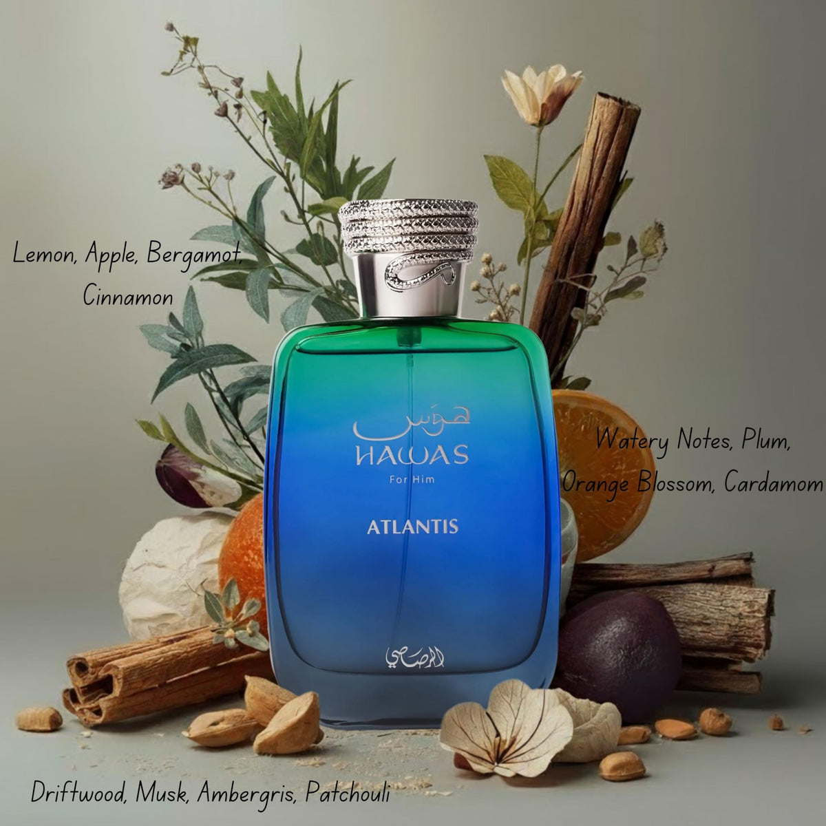 RASASI Hawas For Men Eau De Parfum Spray 100ML (3.4 Oz) - Long Lasting Arabian Perfume, Premium Perfume Men, Ideal for Special Occasions & Daily Elegance, A Bold and Captivating Fragrance-RASASI Hawas For Men Eau De Parfum Spray 100ML (3.4 Oz) - Long Lasting Arabian Perfume, Premium Perfume Men, Ideal for Special Occasions & Daily Elegance, A Bold and Captivating Fragrance