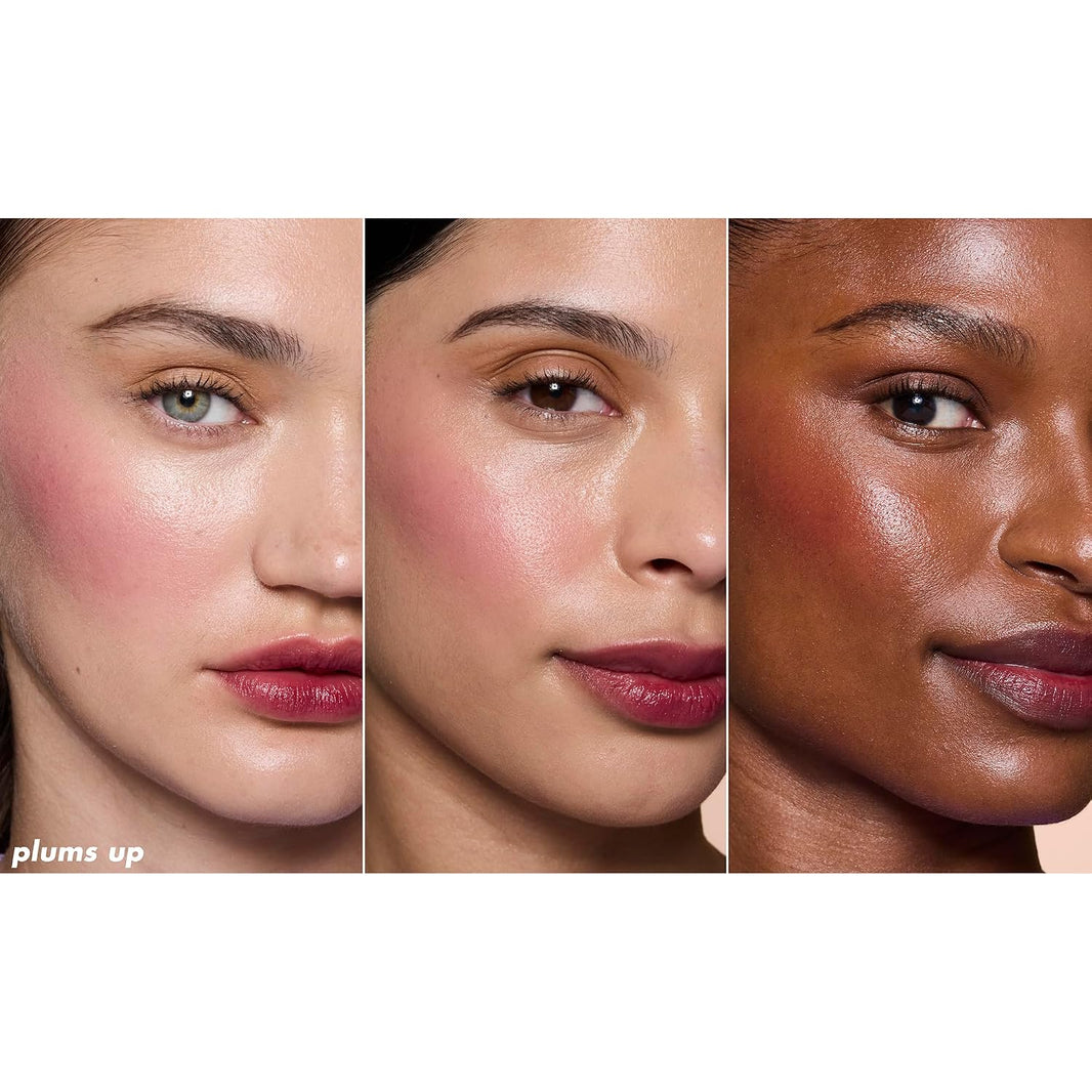 e.l.f. Sheer For It Blush Tint, Multi-Use, Long-Lasting Lip & Cheek Makeup, Creates A Natural Flush Finish, Vegan & Cruelty-Free, Plums Up-e.l.f. Sheer For It Blush Tint, Multi-Use, Long-Lasting Lip & Cheek Makeup, Creates A Natural Flush Finish, Vegan & Cruelty-Free, Plums Up