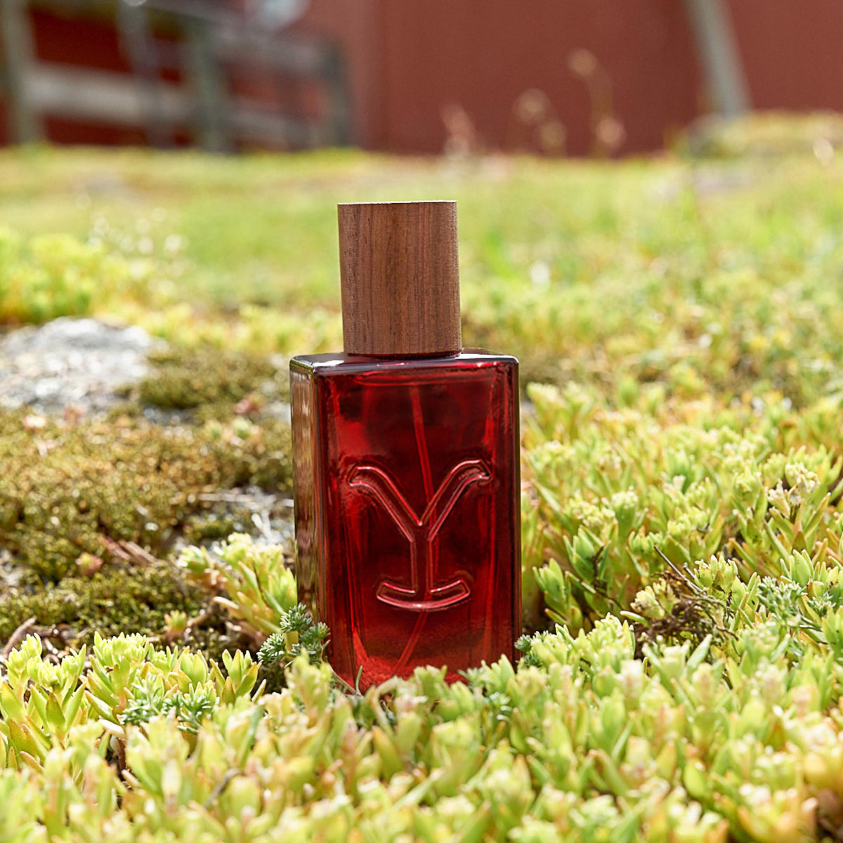 Yellowstone Original Women’s Perfume by Tru Western, 1.7 fl oz (50 ml) – Handcrafted, Iconic, Timeless-Yellowstone Original Women’s Perfume by Tru Western, 1.7 fl oz (50 ml) – Handcrafted, Iconic, Timeless