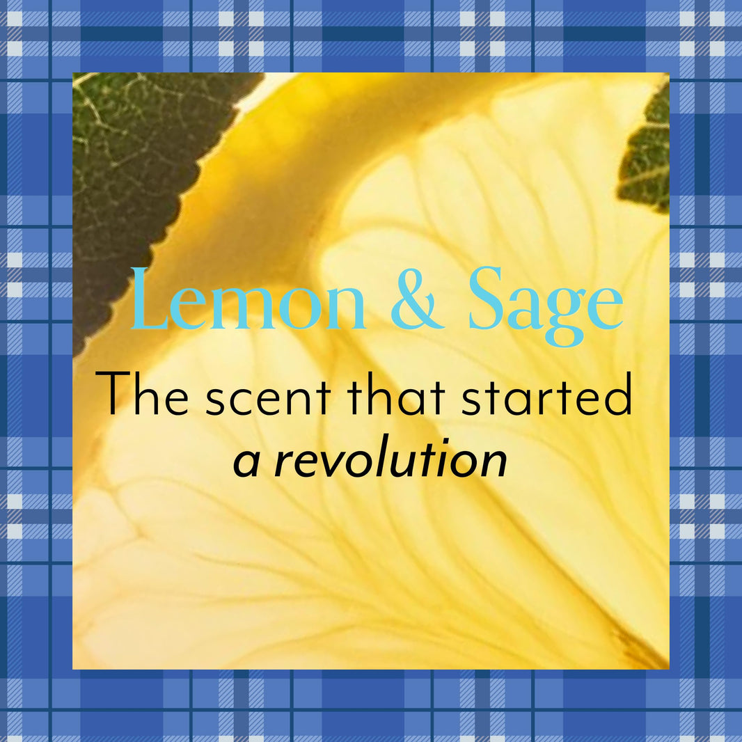 Bliss Lemon and Sage Body Butter - Iconic Scent with Shea Butter and Coconut Oil for Long-Lasting Maximum Moisture - Body Lotion for Smooth, Soft Skin - Vegan and Cruelty-Free - 6.7 Fl Oz-Bliss Lemon and Sage Body Butter - Iconic Scent with Shea Butter and Coconut Oil for Long-Lasting Maximum Moisture - Body Lotion for Smooth, Soft Skin - Vegan and Cruelty-Free - 6.7 Fl Oz