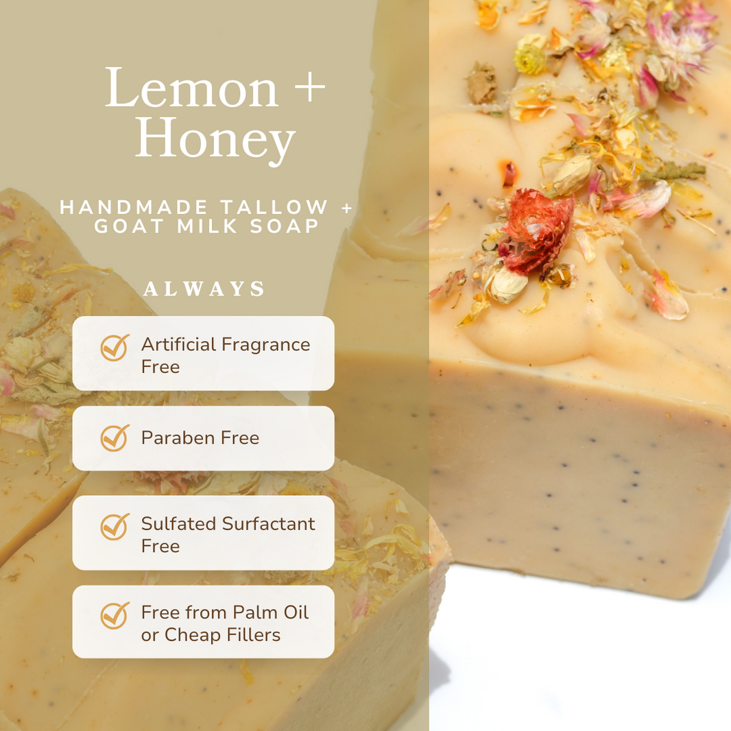 Lemon + Honey + Poppy Seed Handmade Tallow and Goat Milk Soap Bar-Lemon + Honey + Poppy Seed Handmade Tallow and Goat Milk Soap Bar