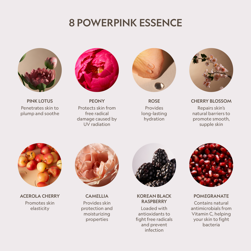 Pink Lotus Peptide Renewal Face Cream-Pink Lotus Peptide Renewal Face Cream