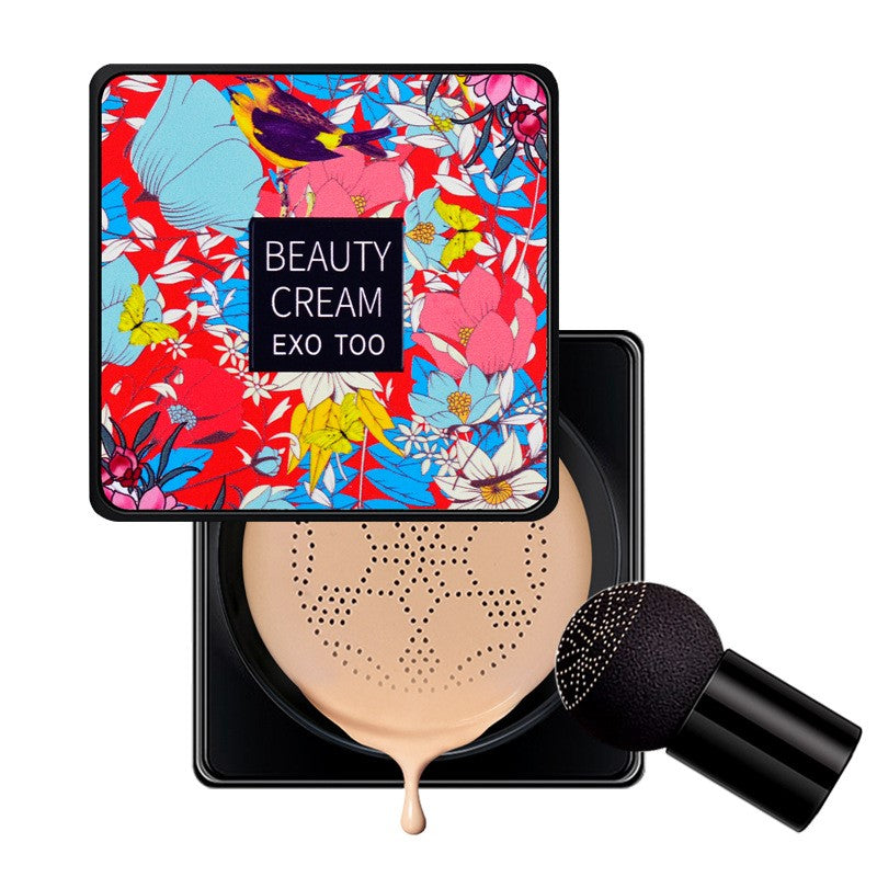 bb cream concealer foundation cosmetics-e88a61c017c3bafd447003d8e592b6ad