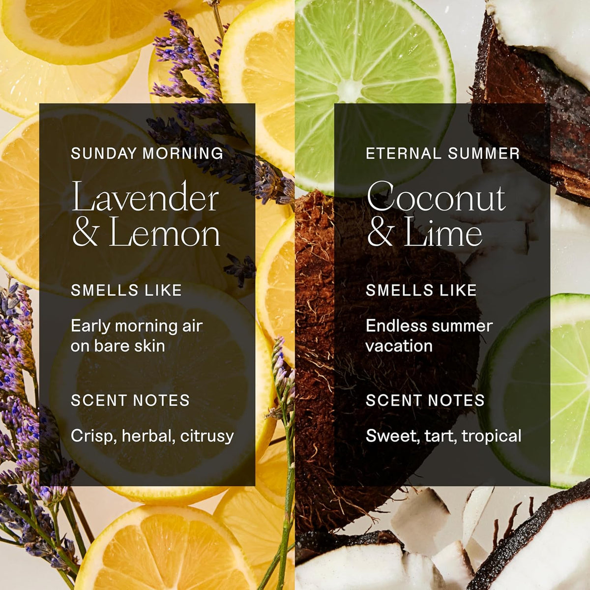 Each & Every Aluminum Free Deodorant for Women & Men – Natural Fragrance 72-Hr Odor Protection, Sensitive Skin, EWG Verified Baking Soda Free - Lavender & Lemon + Coconut & Lime 2 Pack, 2.5oz-Each & Every Aluminum Free Deodorant for Women & Men – Natural Fragrance 72-Hr Odor Protection, Sensitive Skin, EWG Verified Baking Soda Free - Lavender & Lemon + Coconut & Lime 2 Pack, 2.5oz