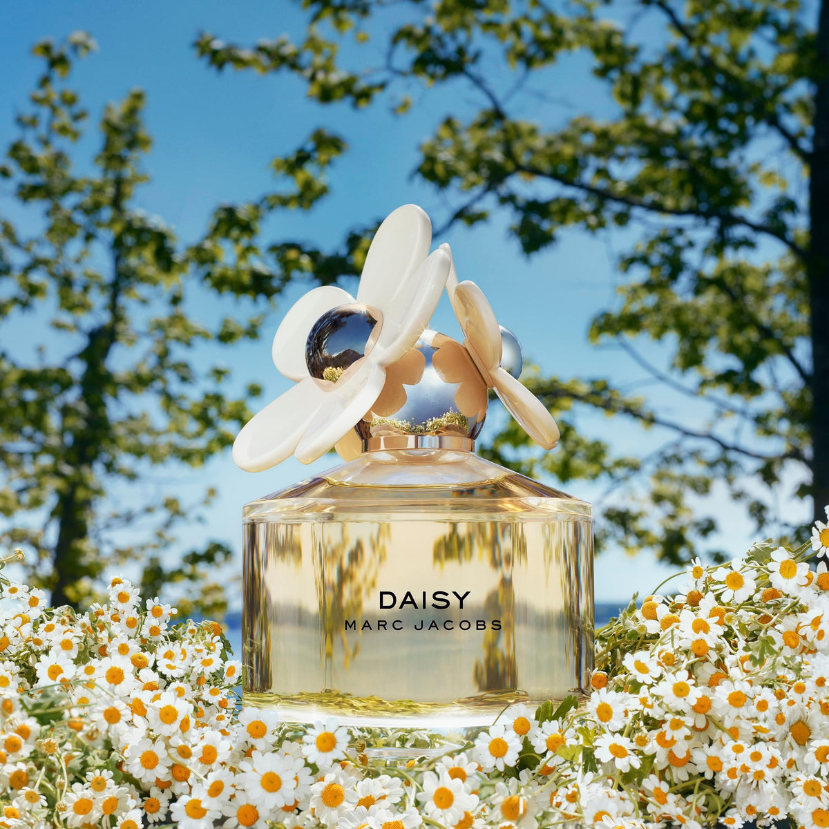 Marc Jacobs Daisy Eau de Toilette – Radiant Floral Women's Perfume – With Notes of Wild Berries-Marc Jacobs Daisy Eau de Toilette – Radiant Floral Women's Perfume – With Notes of Wild Berries