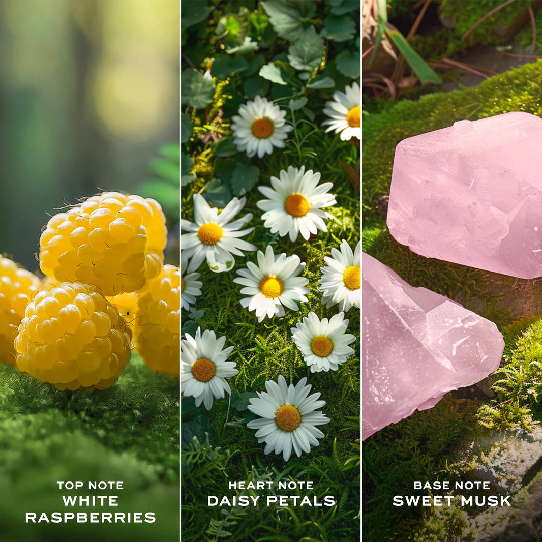 Marc Jacobs Daisy Love Eau So Sweet Eau de Toilette – Floral Women's Perfume – With Notes of White Raspberries, Daisy Petals & Sweet Musk-Marc Jacobs Daisy Love Eau So Sweet Eau de Toilette – Floral Women's Perfume – With Notes of White Raspberries, Daisy Petals & Sweet Musk