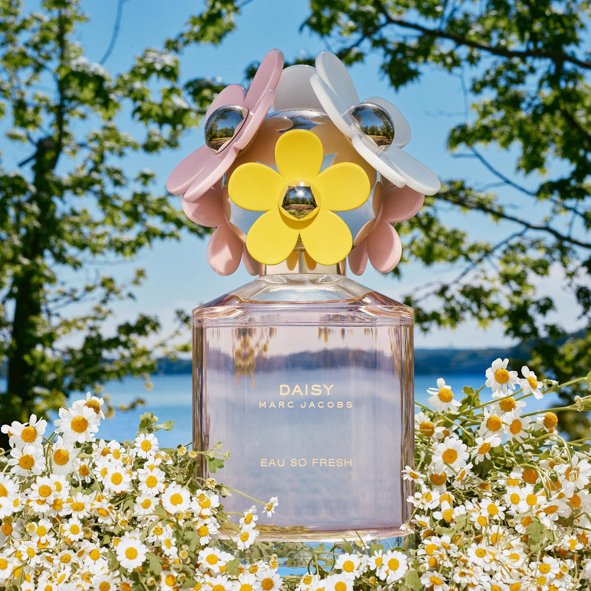 Marc Jacobs Daisy Eau So Fresh Eau de Toilette – Fresh Floral Women's Perfume – With Notes of Raspberry, Wild Rose, Grapefruit & Soft Musks-Marc Jacobs Daisy Eau So Fresh Eau de Toilette – Fresh Floral Women's Perfume – With Notes of Raspberry, Wild Rose, Grapefruit & Soft Musks