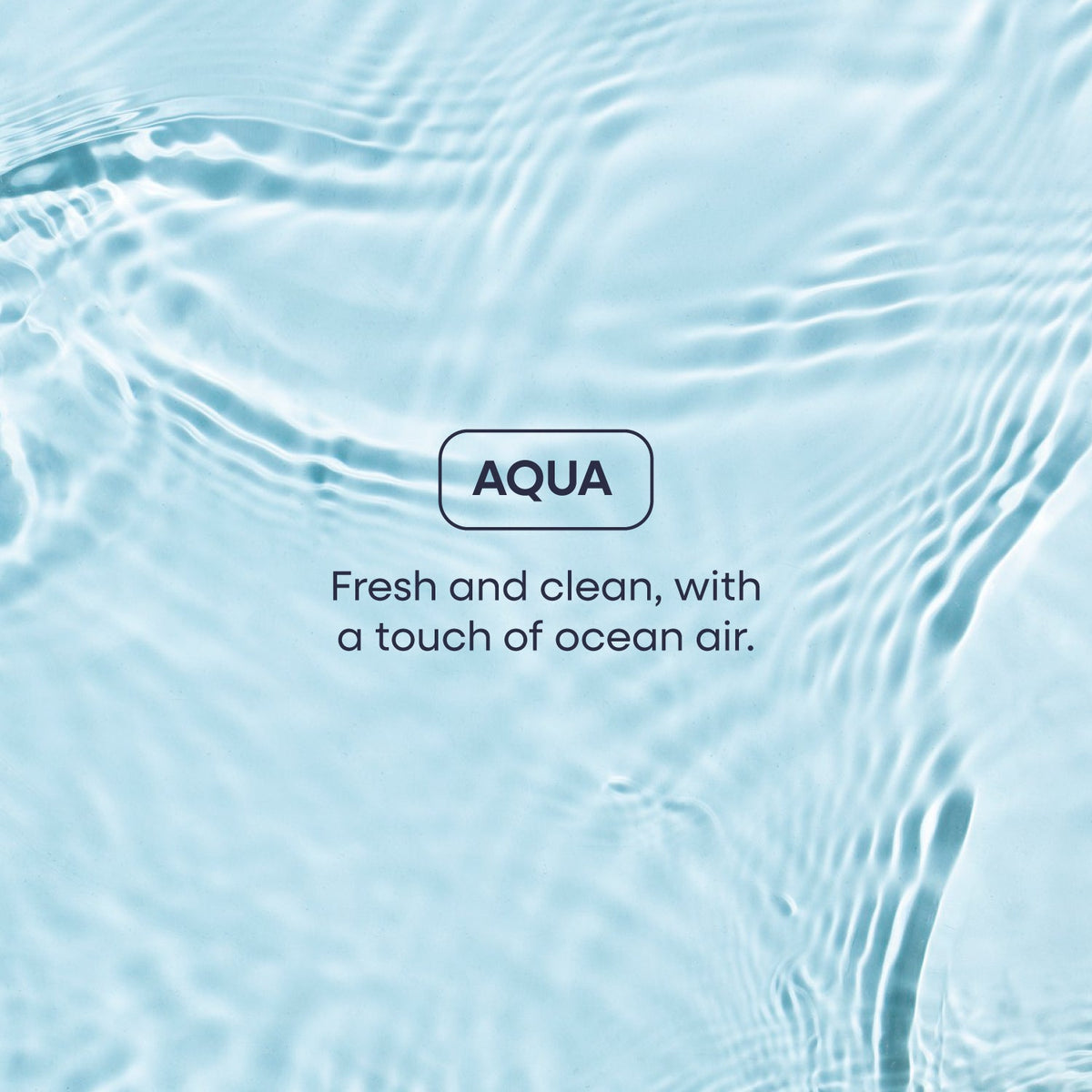 Body Care Starter Kit-Body Care Starter Kit