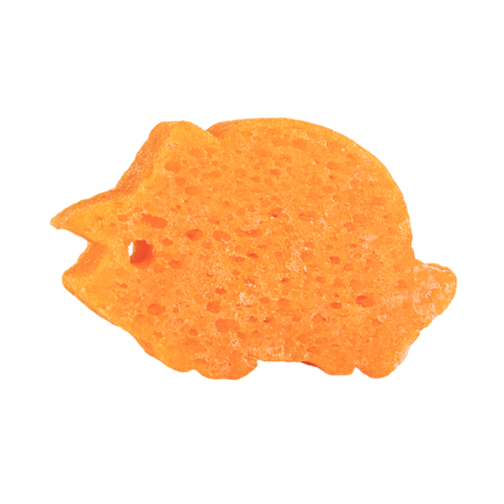 Tina Triceratops | Spongeasaurus Dinosaur Buffer-Tina Triceratops | Spongeasaurus Dinosaur Buffer