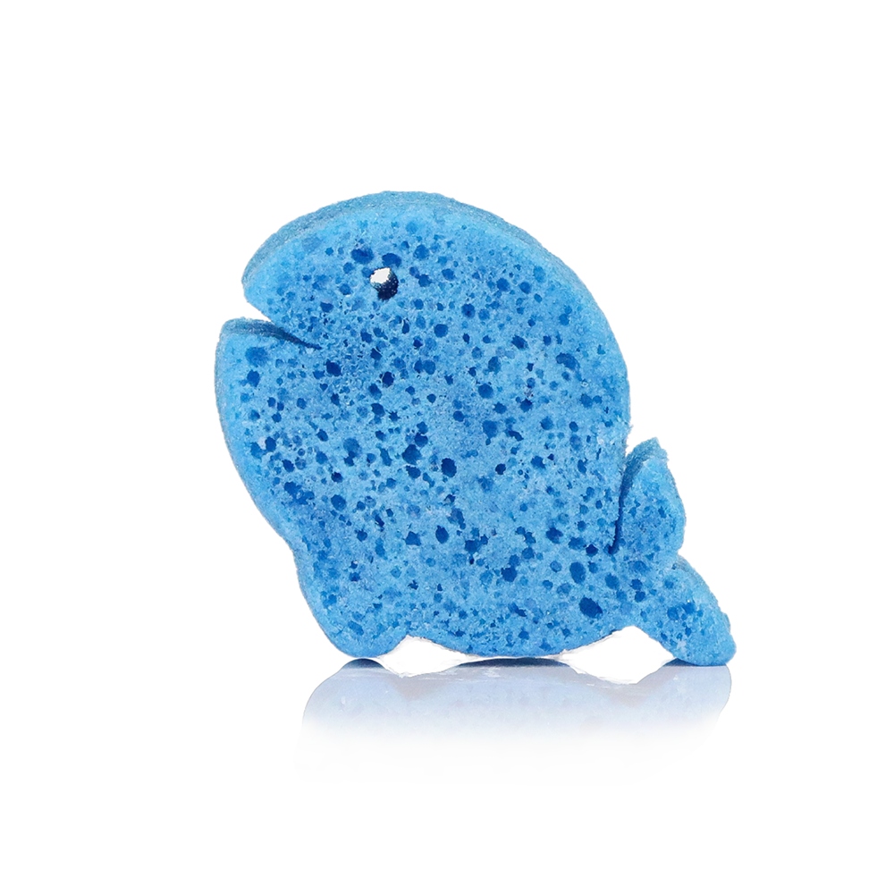 Walter Whale | Sea Animals-Walter Whale | Sea Animals