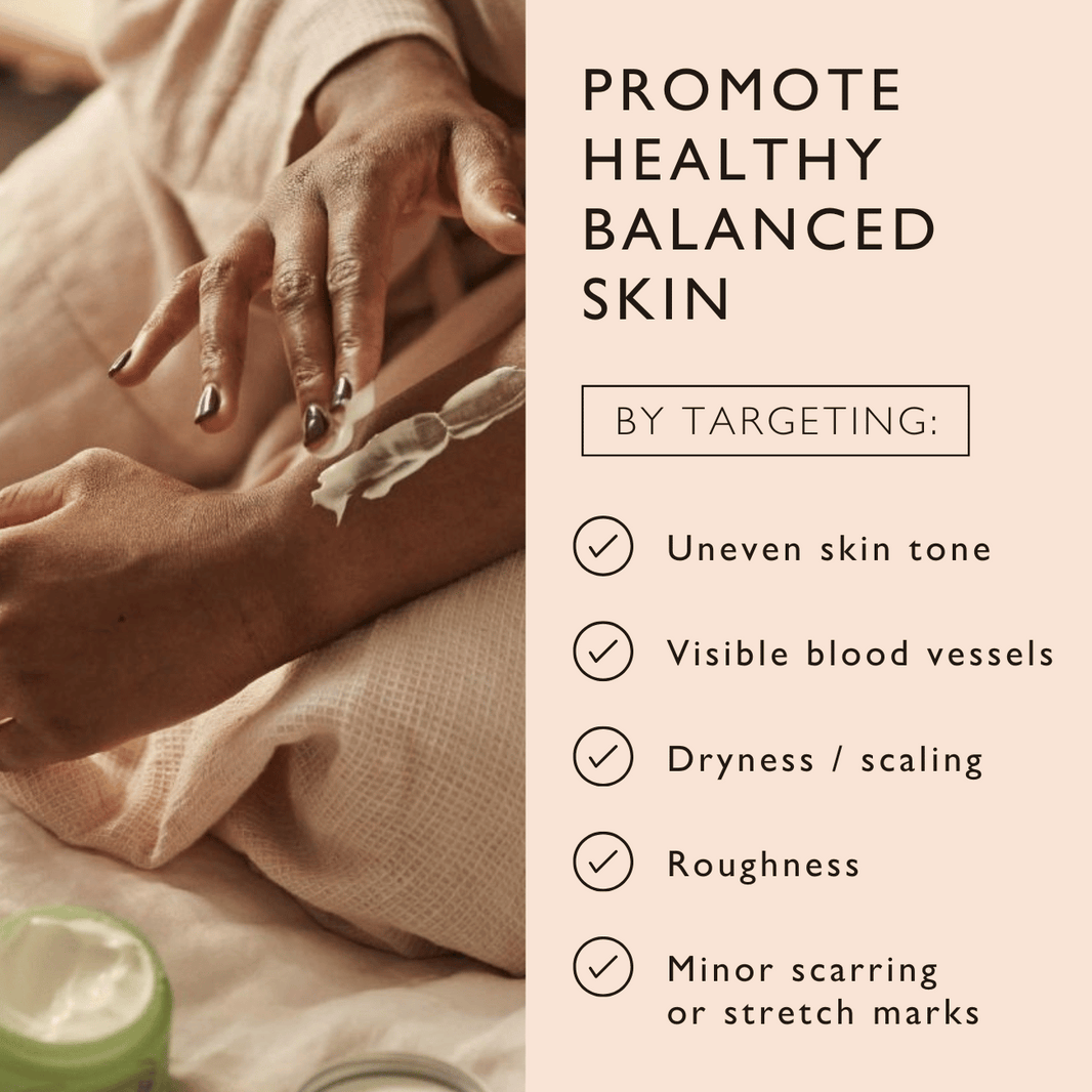 Natural Body Cream with Aloe Vera + Cocoa Butter-Natural Body Cream with Aloe Vera + Cocoa Butter
