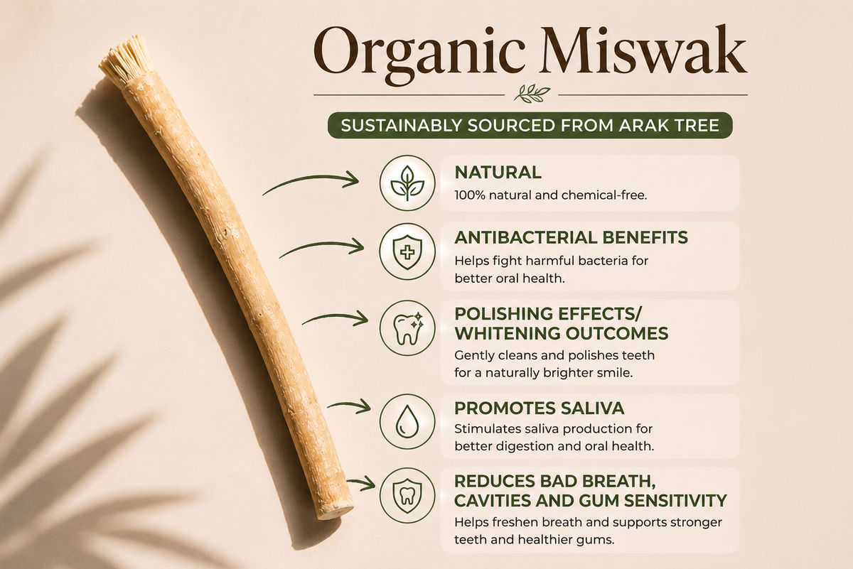 Organic Miswak Twig: Sustainably Sourced from the Arak Tree-Organic Miswak Twig: Sustainably Sourced from the Arak Tree
