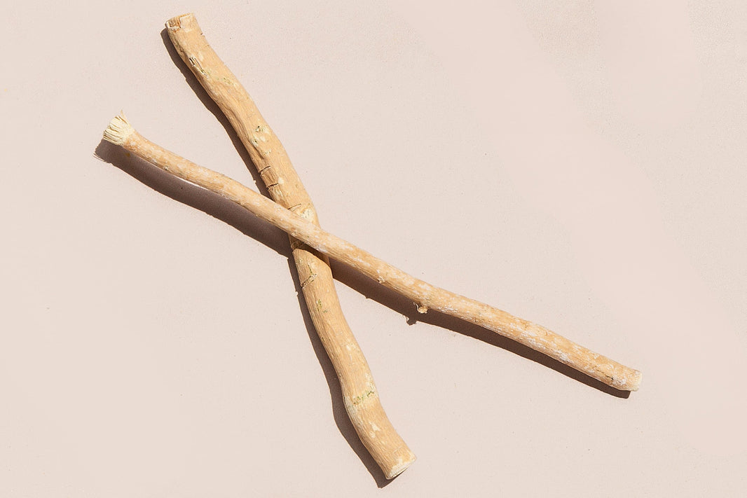 Organic Miswak Twig: Sustainably Sourced from the Arak Tree-Organic Miswak Twig: Sustainably Sourced from the Arak Tree