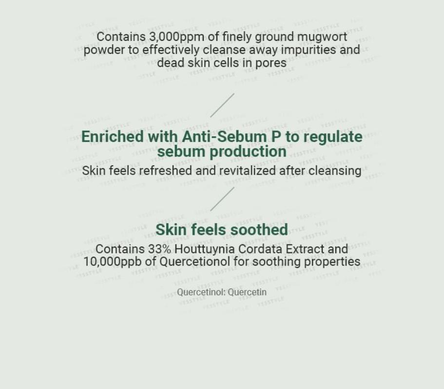ANUA Heartleaf Quercetinol Pore Deep Cleansing Foam-ANUA Heartleaf Quercetinol Pore Deep Cleansing Foam